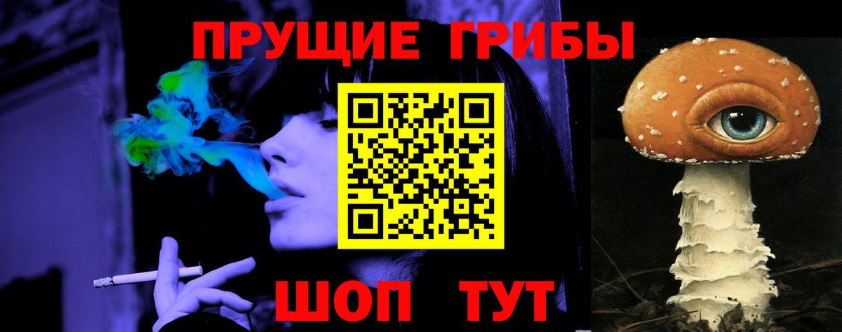 Галлюциногенные грибы Psilocybe  Вход с VPN  Белая Калитва 